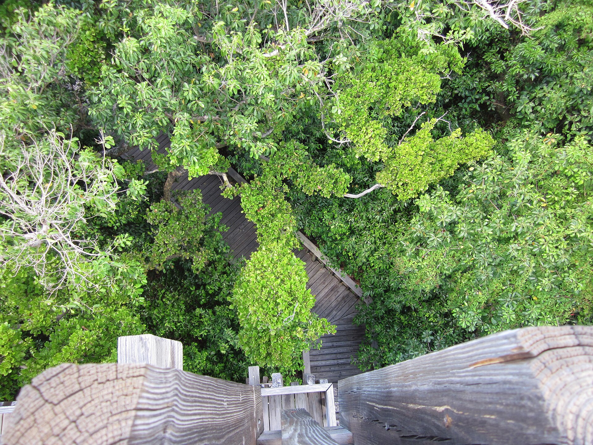 Gumbo Limbo Nature Center